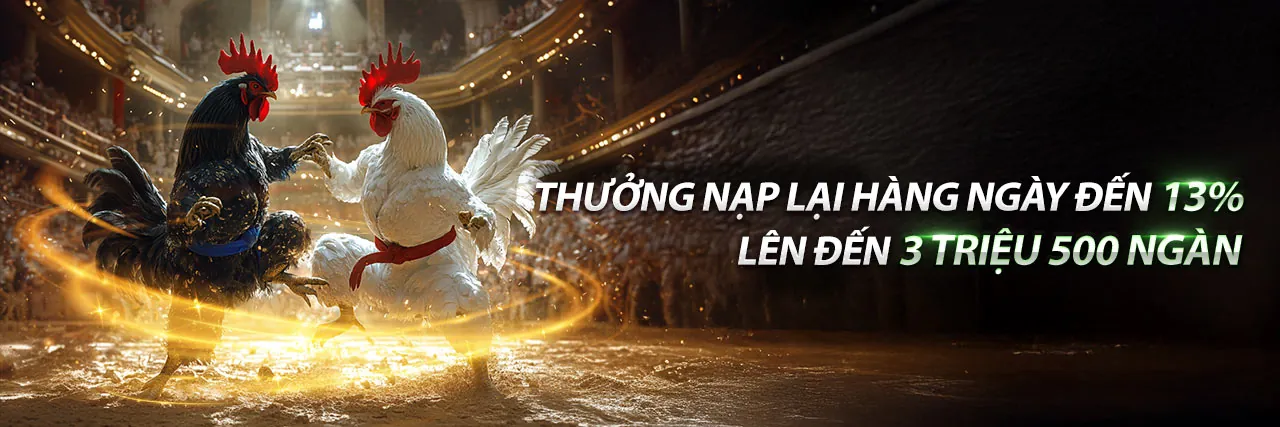 Sân đấu đá gà Thomo trực tuyến sôi động tại bi88 đá gà thomo